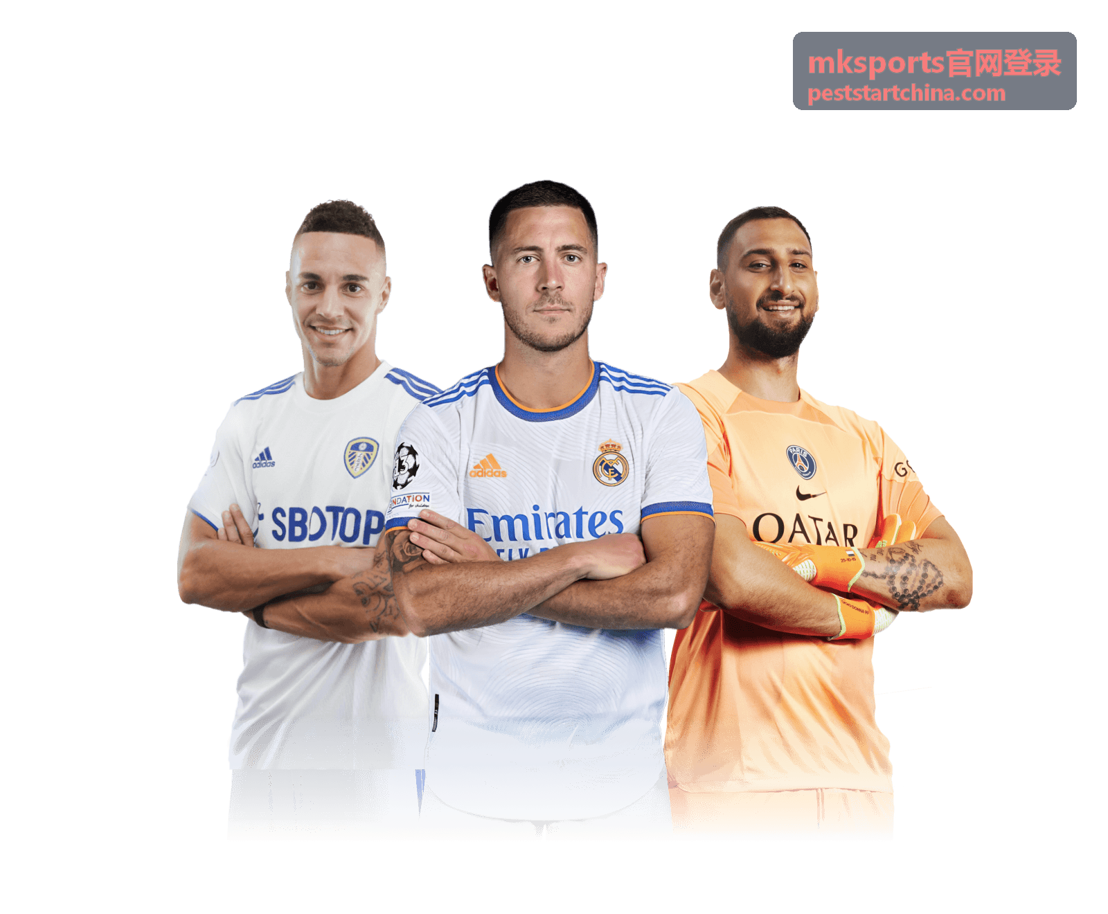mksports官网登录平台指南分类入口